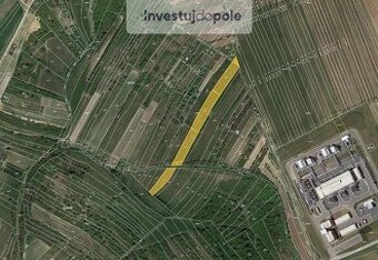 Prodej pole v k.ú. Dambořice - 1