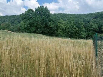 Stavební pozemek 1037m2 Stříbský mlýn u Ivančic - 1