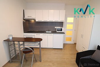 Pronájem garsoniéry, 22 m², po rekonstrukci, ul. Mánesova, S