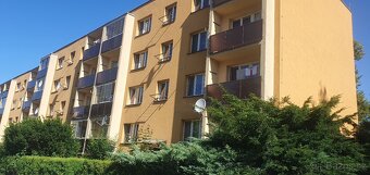 Pronájem bytu 1+1 v Karviné - 1