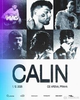 Pod nákup - Calin 1.12 O2 Arena Stání
