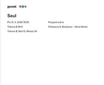 Lístek na koncert Saula