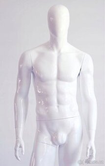 Oděvní figuríny, pánské dámské