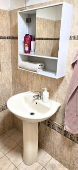 Umyvadlo a koupelnová skřínka.