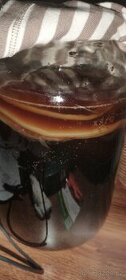 Kombucha Vsetín