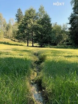 Prodej pozemek Lesy, 6838㎡