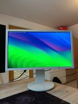 NEC Multisync EA234wmi