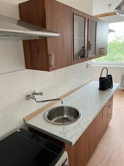 Pronájem bytu v OV 1+1 47m2, Chomutov, Písečná