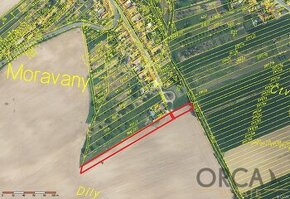 0,3 ha pozemků v k.ú. Moravany u Kyjova - 1