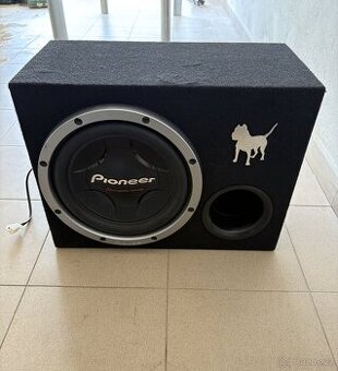 Subwoofer Pioneer Champion Series