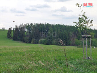 Prodej ostatní, 2216 m², Václavov u Bruntálu