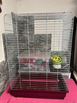 Velká klec pro papouška