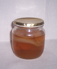 KOMBUCHA - čajová houba (vč. matečného nálevu)