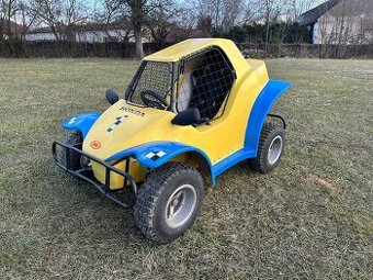 Buggy Havel Beta RS