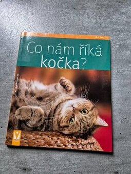 CO nám říká kočka