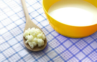 Tibetská Houba-Silné léčivé účinky-Levně