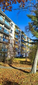 Pronájem bytu 2+1(58m2) - 1