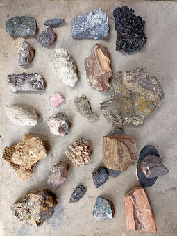 Sbírka minerálů a zkamenělin