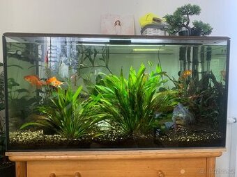 Akvárium 250l