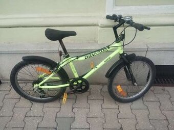 Kolo DBVcycles Special 20"