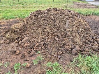 Daruji koňský hnůj