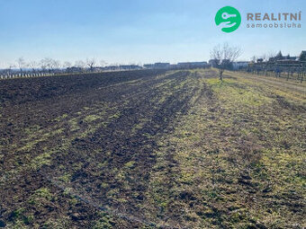 Vinice a orná půda v k.u. Moravská Nová Ves -...