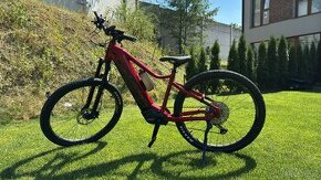 Elektrokolo Leader Fox Orton 2023 17.5"