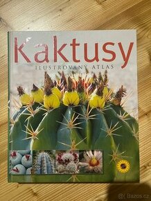 Kaktusy,nová kniha, nakladatelství Sun