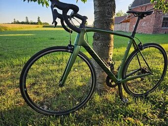 Merida scultura 6000