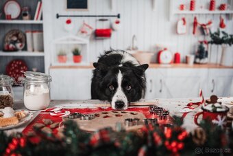 Vánoční fotopozadí - kuchyň 2,2x1,5m