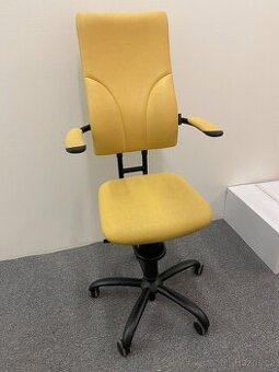 Kancelářská židle Spinalis Apollo (zdravotní)