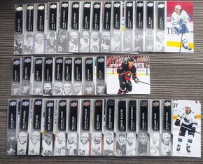 Hokejové karty - lot UD Ser. 1 + Extended