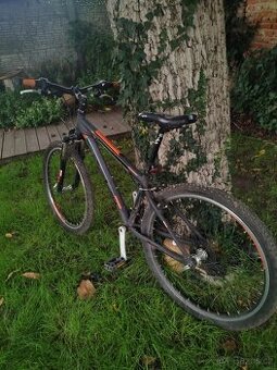 Horské kolo Leader Fox Maxim