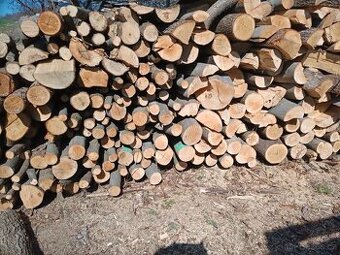 Prodám suché palivové dřevo