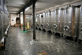 Pronájem, Výroba vína, vinný sklep, 858 m2 - ul. Malinovskéh