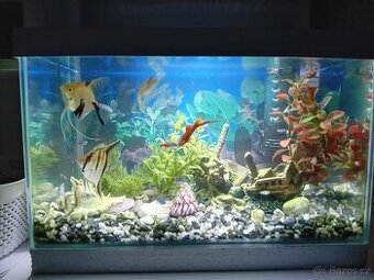 Akvarium 30L