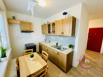 Pronájem bytu 2+1 Jihlava, U Pivovaru