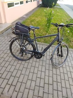 Leader Fox Forenza, model 2018