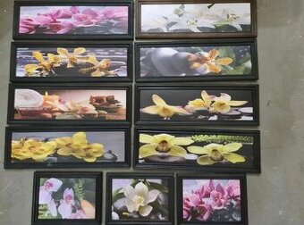 Obrázky v dřevěném rámu Orchideje sada
