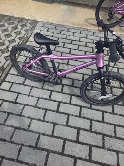 Detské kolo Rascal 16 Raspberry