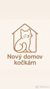 Sháním vybavení pro kočky