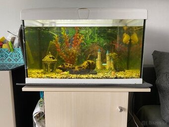 Prodám komplet akvárko 60L plus stolek pod něj