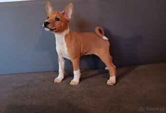 Basenji - štěňata bez pp