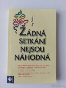 Žádná setkání nejsou náhodná - Kay Pollak