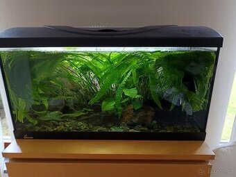 Akvárium 100l