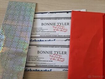 Bonnie Tyler DRFG Arena Brno sobota 14.6 od 19h sektor ,,C,,