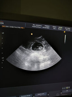 Chovatelská stanice Silesia Iron americký bezsrstý teriér