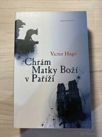 Chrám Matky Boží v Paříži