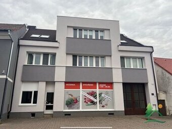 Pronájem nebytových prostor, 108 m², Heřmanův Městec