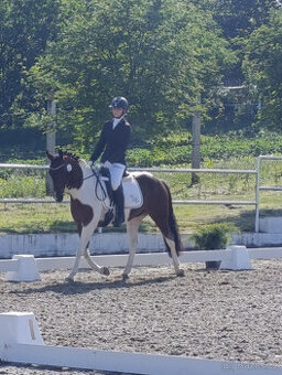 sportovní pony kat.B